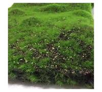 VagxTbs Home Plants, Walls,table Making Indoor Preserved Mosstable Decor, Fairy Garden Floral Diy Potted Artificial Balcony Terrace Tv Window Display(Aa)