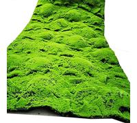 VagxTbs Rocks Decorative, Artificial Grass Moss Fake Rug Turf for Floral Arrangements Gardens and Crafting Promotion (Cc)