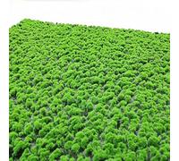 VagxTbs Rocks Decorative, Artificial Grass Moss Fake Rug Turf for Floral Arrangements Gardens and Crafting Promotion (D)