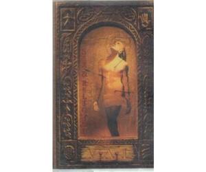 Vai,Steve - Sex & Religion [Musikkassette] [CASSETTE]