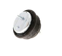 VAICO V20-1023 Engine mount