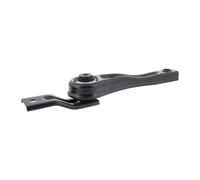 VAICO V10-4039 Engine mount