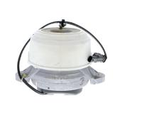 VAICO V30-2499 Engine mount