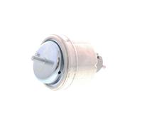 VAICO V40-0357 Engine mount