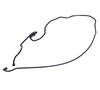 VAICO Fuel Line for DACIA LOGAN Pickup US 2008-04 to 2012-12 V21-0037