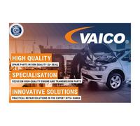 VAICO Fuel Pump For Ford Transit 1035875 6198903 6201102 7133973 95F9350AC