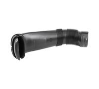 VAICO Intake Hose, air filter V20-3967