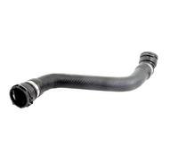 VAICO V20-2691 Radiator hose