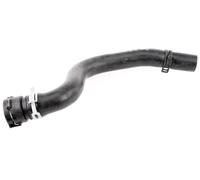 VAICO V25-1203 Radiator hose