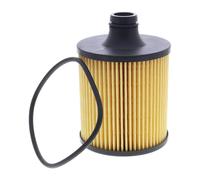 VAICO V10-7815 Oil filter