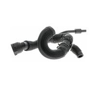 VAICO V10-4288 Radiator hose