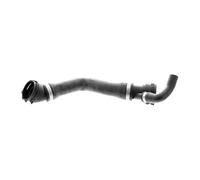 Cooling system hose Lower V20-1331 VAICO for BMW 5 5 Touring