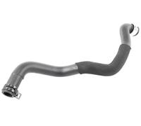 VAICO V30-2971 Radiator hose