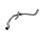 VAICO V40-1769 Radiator hose
