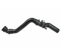 VAICO V10-5525 Radiator hose
