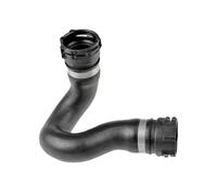 VAICO V10-5531 Radiator hose