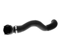 VAICO V40-1324 Radiator hose