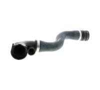 VAICO V20-1255 Radiator hose