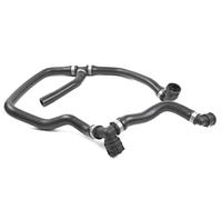 VAICO Radiator Hose V20-3861