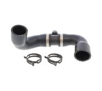 VAICO Radiator Hose V20-4244