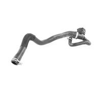 VAICO Radiator Hose V25-1164