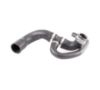VAICO Radiator Hose V30-2902
