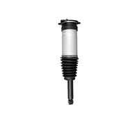 VAICO V58-0284 Shock absorber