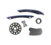 VAICO V46-10005 Timing chain kit