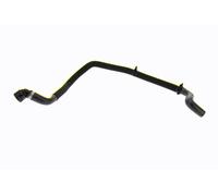 VAICO V10-000142 Radiator hose