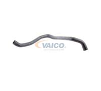 VAICO V10-2734 Radiator hose