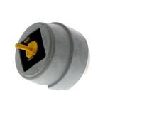 VAICO V10-3063 Engine mount