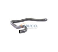 VAICO V10-3197 Radiator hose