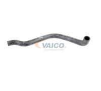 VAICO V10-3200 Radiator hose