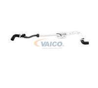VAICO V10-3625 Brake vacuum hose