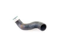VAICO V10-3825 Charger intake hose
