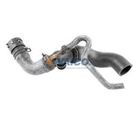 VAICO - V10-3915 - Radiator Hose - fits VOLKSWAGEN 1J0122101AP