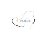 VAICO V10-4646 Power steering hose