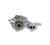 VAICO V10-50015 Water pump