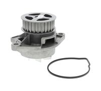 VAICO - V10-50036 - Water Pump, engine cooling - fits AUDI 036121008M
