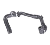 VAICO V10-5783 Radiator hose