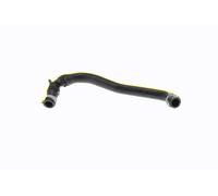 VAICO OEM Radiator Hose High Quality for VW MULTIVAN T6 SGF SGM SGN V10-8998