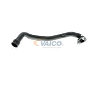VAICO V10-9766 Rocker cover breather pipe