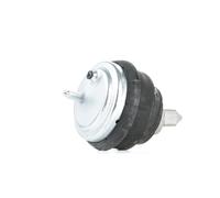 VAICO V20-1120 Engine mount