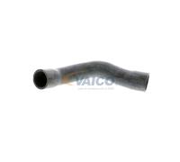 VAICO V20-1241 Radiator hose