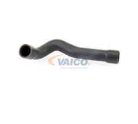 VAICO V20-1243 Radiator hose