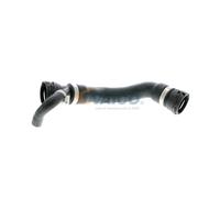 VAICO V20-1271 Radiator hose