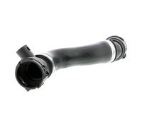 VAICO V20-1290 Radiator hose