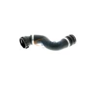 VAICO V20-1314 Radiator hose