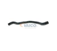 VAICO V20-1648 Radiator hose