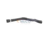 VAICO V20-1663 Radiator hose